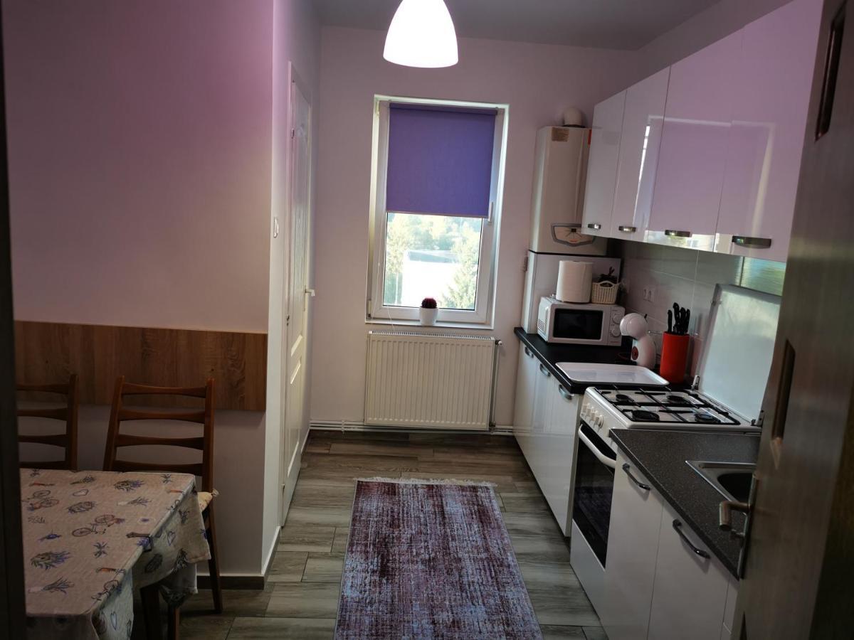 Violet Residence Târgu-Mureş Exterior foto